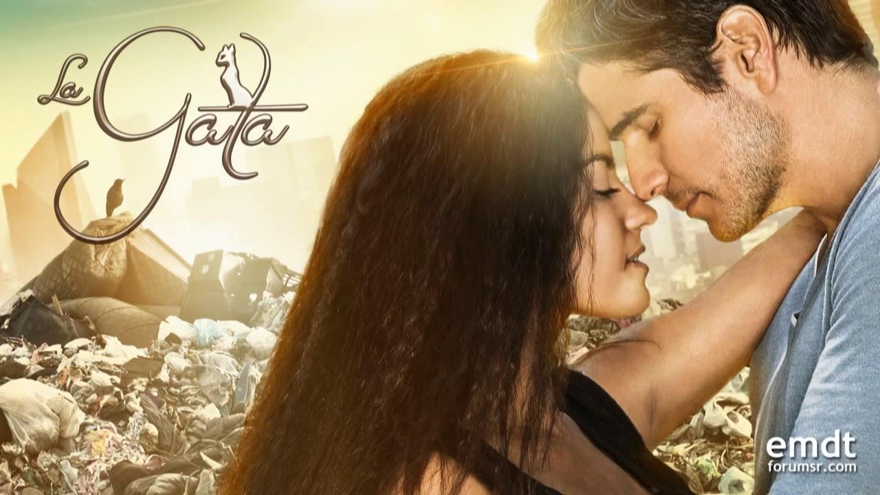 Divlja mačka – 31. epizoda