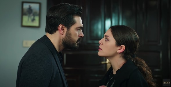 Fatalna ljubav – 134. i 135. epizoda